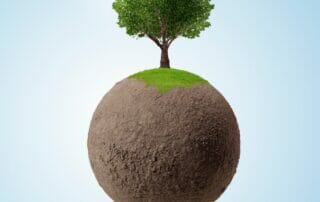 carbon management
